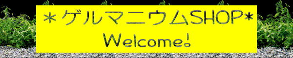 ���Q���}�j�E���r�g�n�o�� �@�@�@�@Welcome! 